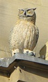 Sculpture of owl on a ledge