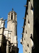 Bell tower with stair turret above the door of Saint Ivo