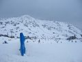 Perisher