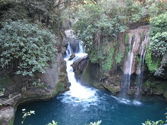 Selva seca, Tamasopo, San Luis Potosí