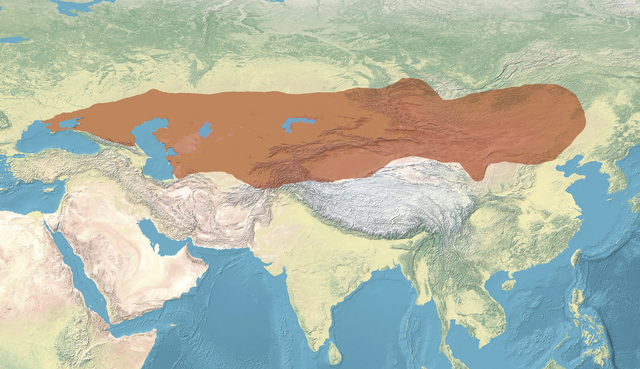 class=notpageimage| The First Turkic Khaganate at its greatest extent, in 576, with neighbouring contemporary polities.[163]