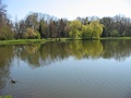 A pond in the arboretum next to the castle