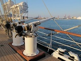 Two of the four operational QF 3 pounder Hotchkiss cannons aboard ARA Libertad