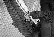 Original Old City Hall, Toronto gargoyle