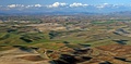 Palouse Hills of Washington