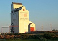 Grain elevator