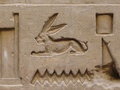 Cape hare hieroglyph depicted at the Temple of Edfu