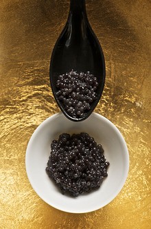 Beluga caviar