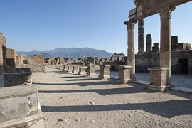 The Forum