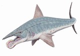 Dimetrodon limbatus и Helicoprion bessonovi 