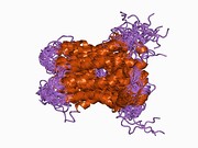 1by1: DBL homology domain from beta-PIX