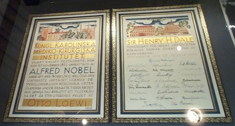 The Nobel Prize diploma of Dale, displayed in the Royal Society, London.