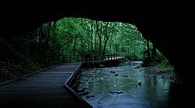 Rock Bridge at Rock Bridge Memorial State Park