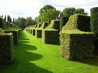 Topiary garden at Manor d'Eyrignac, France