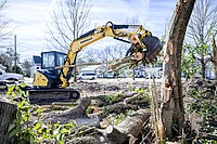 Yanmar Vio55 excavator