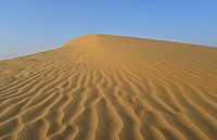 Thar Desert