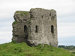 Moylough Castle is a 13th century tower or hall house