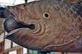 Head of the wooden fish at Manpuku-ji, Uji, Japan