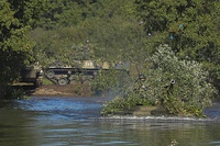 Three tanks covered by tree branches, one of which is partially submerged in water