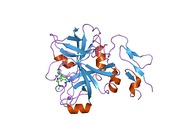 2bok: FACTOR XA - CATION