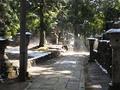 A Path in Okunoin Cemetery