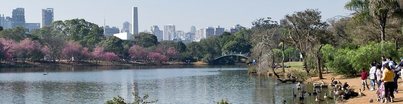  Vista panorámica del Parque Ibirapuera. Es el parque urbano más grande de la ciudad.