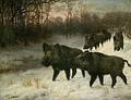 Wild boar, by Anton Schmitz