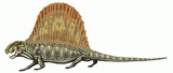 Dimetrodon limbatus и Helicoprion bessonovi 