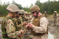 Guns and Assault Pioneers Platoon train with a US Marine at US Marine Corps Base Camp Lejeune in 2013