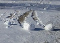 Rollo de nieve en Illinois