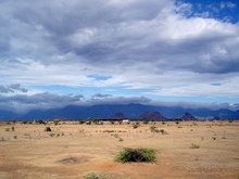 A savanna: the rainshadow region of Tirunelveli, India