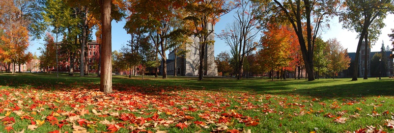  The main Quad of Bowdoin College in the middle of autumn.