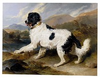 Lion, a Newfoundland dog, 1824