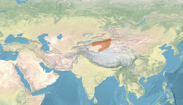 class=notpageimage| The Tocharians and contemporary Asian polities c. 500 AD.