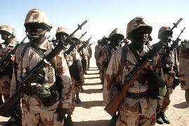 Soldiers in a Niger army unit stand in formation while a dignitary visits their outpost during Operation Desert Shield. The men are armed with M14 rifles.