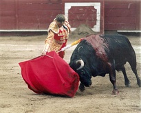 A male (left) and female (right) bullfighter demonstrating the Suerte de Capote of Spanish-style bullfighting in 2019 and 2010, respectively.