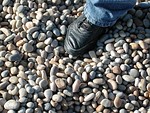 Large chert and flint shingle near the Portland (southern) entrance to beach