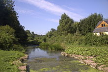 Stagnant water between banks covered in vegetation. Part of a house can be seen to the right.