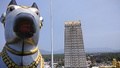 Statue of Nandi at Murudeshwara Temple