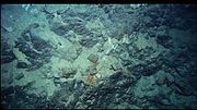 Iron plates dropped on the seafloor as ballast.