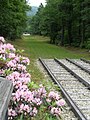 Incline looking from the Engine house