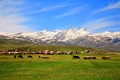 A view of Mount Aragats from Aragatsotn – Armenia