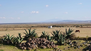 Altiplano sub-húmedo, Apan, Hidalgo