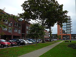 Weststellingwerf city hall