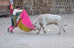 A male (left) and female (right) bullfighter demonstrating the Suerte de Capote of Spanish-style bullfighting in 2019 and 2010, respectively.