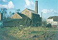 East Kent narrow-leaved elms above Tonge Mill, near Sittingbourne (1969)[5][30]