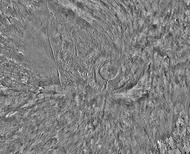 Arsia Mons and its surroundings in a THEMIS daytime infrared image mosaic. A huge fan-shaped expanse of knobby deposits (the Arsia Sulci), believed left by past glaciation, extends northwestward from the mountain.