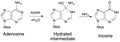 Adenosine conversion to Inosine via ADAR