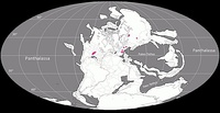 Left: paleogeographic map of Earth at the end of the Paleozoic showing the known distribution of caseid synapsids. Right: close-up of the paleogeographic location of the caseid sites. 1 and 2 Ennatosaurus tecton, Arkhangelsk Oblast, Russia, late Roadian – early Wordian ; 3 Phreatophasma aenigmaticum, Bashkortostan, Russia, early Roadian ; 4 Datheosaurus macrourus Lower Silesian Voivodeship, Poland, Gzhelian ; 5 Martensius bromackerensis, Thuringia, Germany, Sakmarian ; 6 Callibrachion gaudryi, Saône-et-Loire, France, Asselian ; 7 Euromycter rutenus and Ruthenosaurus russellorum, Aveyron, France, late Artinskian ; 8 Lalieudorhynchus gandi, Hérault, France, Wordian – early Capitanian ; 9 Alierasaurus ronchii, Nurra, Sardinia, Italy, Roadian ; 10 Eocasea martini, Greenwood County, Kansas, late Pennsylvanian ; 11 Angelosaurus romeri and Cotylorhynchus bransoni, Kingfisher County, Oklahoma, early Roadian ; 12 Cotylorhynchus bransoni, Blaine County, Oklahoma, early Roadian ; 13 Cotylorhynchus romeri, Logan County, Oklahoma, mid-late Kungurian ; 14 Cotylorhynchus romeri, Cleveland County, Oklahoma, mid-late Kungurian ; 15 Oromycter dolesorum and Arisierpeton simplex, Comanche County, Oklahoma, early Artinskian ; 16 Cotylorhynchus hancocki, Hardeman County, Texas, late Kungurian – early Roadian ; 17 Cotylorhynchus hancocki, Angelosaurus dolani, A. greeni, Caseoides sanangeloensis, and Caseopsis agilis, Knox County, Texas, late Kungurian – early Roadian ; 18 Casea broilii, Baylor County, Texas, mid-late Kungurian.