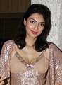 Miss World 1999 Yukta Mookhey,  India